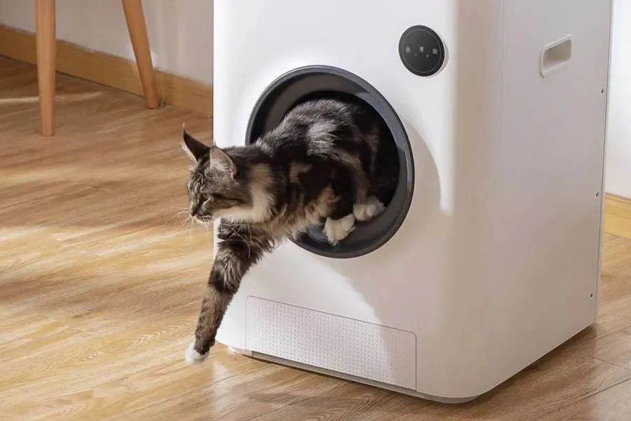 robot cat litter box